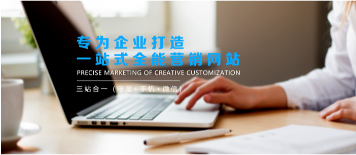 專業(yè)一站式全能營銷烏魯木齊網(wǎng)站建設